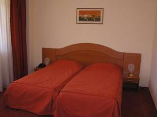 Отель Azuga Ski & Bike Resort Азуга Двухместный номер с 1 кроватью или 2 отдельными кроватями-7